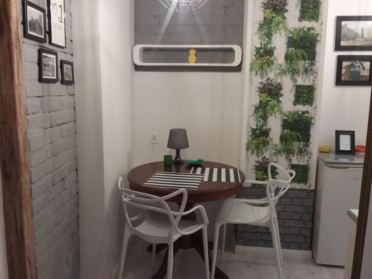 Art - Modern / Old Town - Apartament Stary Toruń 外观 照片